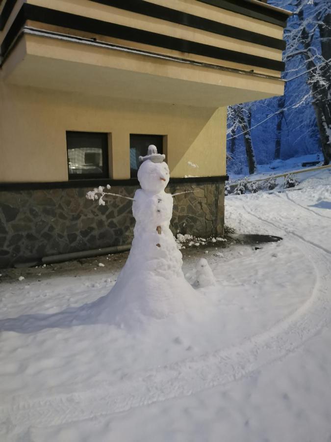 Apartament Kalinderu K1 Busteni Luaran gambar