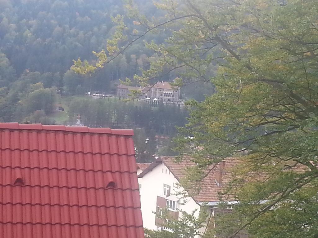 Apartament Kalinderu K1 Busteni Bilik gambar