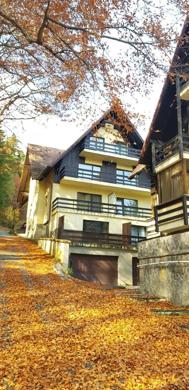 Apartament Kalinderu K1 Busteni Luaran gambar