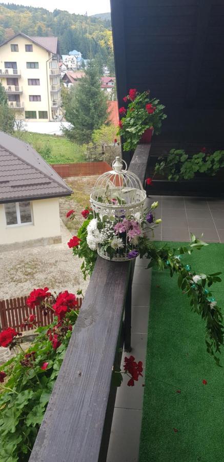 Apartament Kalinderu K1 Busteni Luaran gambar