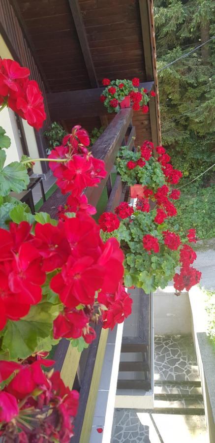 Apartament Kalinderu K1 Busteni Luaran gambar